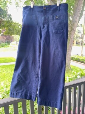LOFT Petite Palmer Wide Leg
Crop Pants Size: 12 P Deep Space Blue